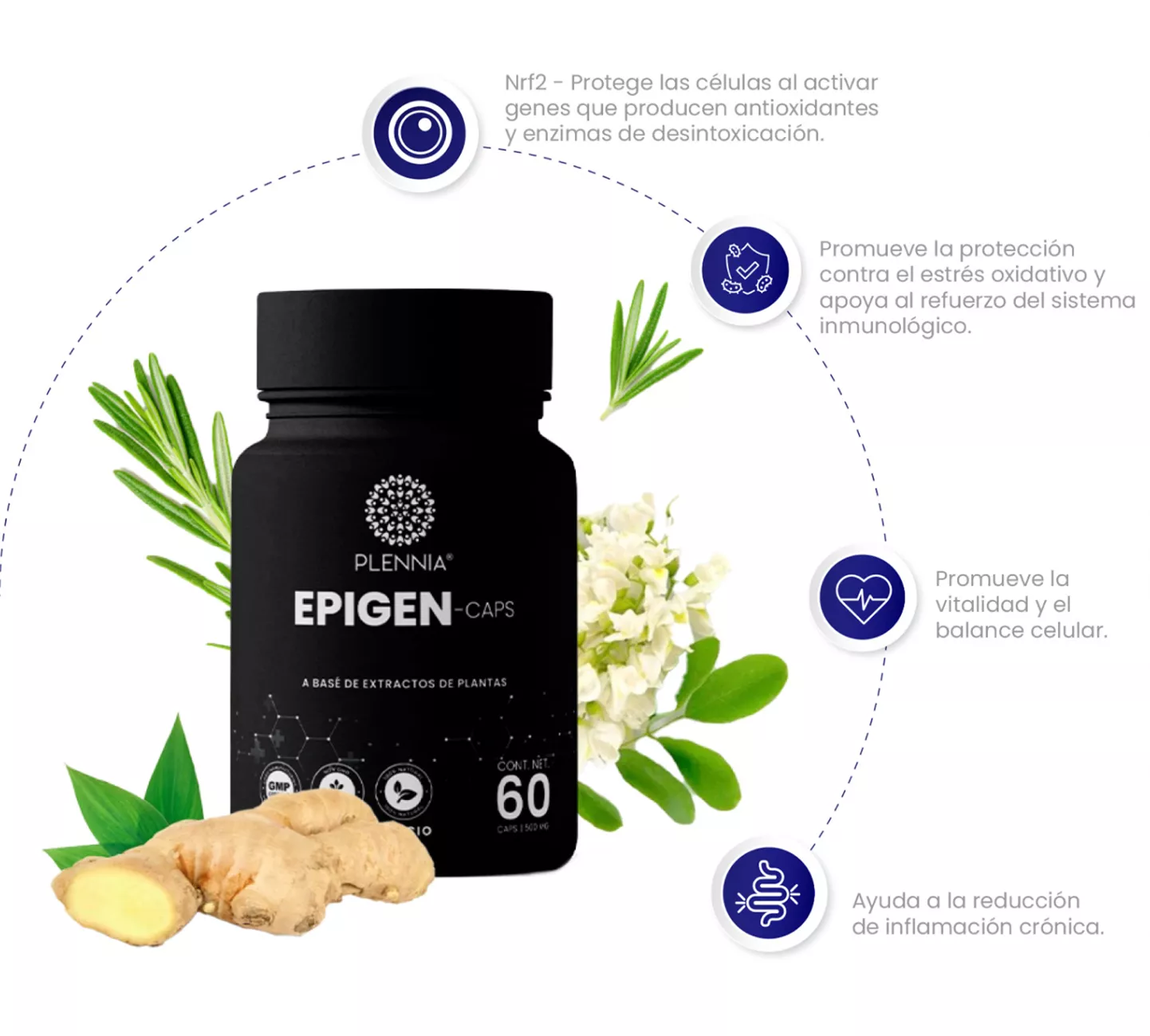 Beneficios epigen plennia